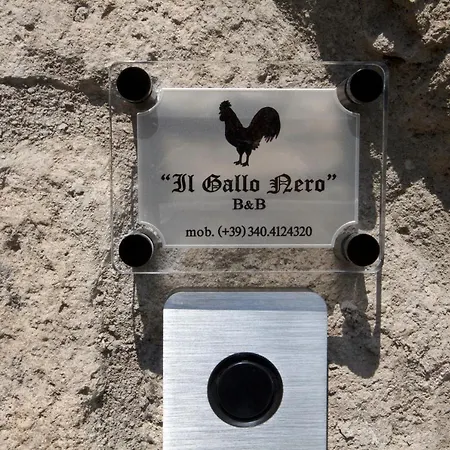 Il Gallo Nero-3
